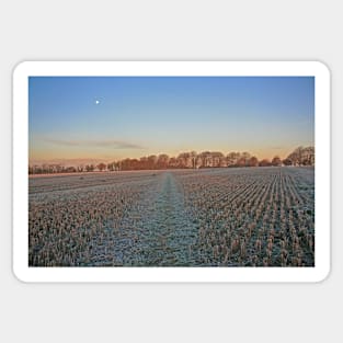 Winter Moon, Meon Valley, December 2022 Sticker